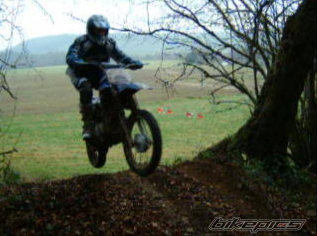 2001 YAMAHA TTR 125 | Picture 320992 motorcycle photo
