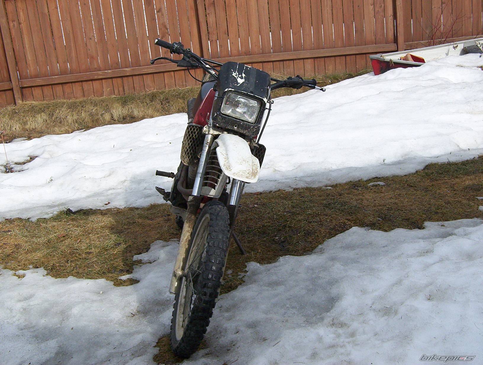 1984 YAMAHA XT 250 | Picture 321235 motorcycle photo