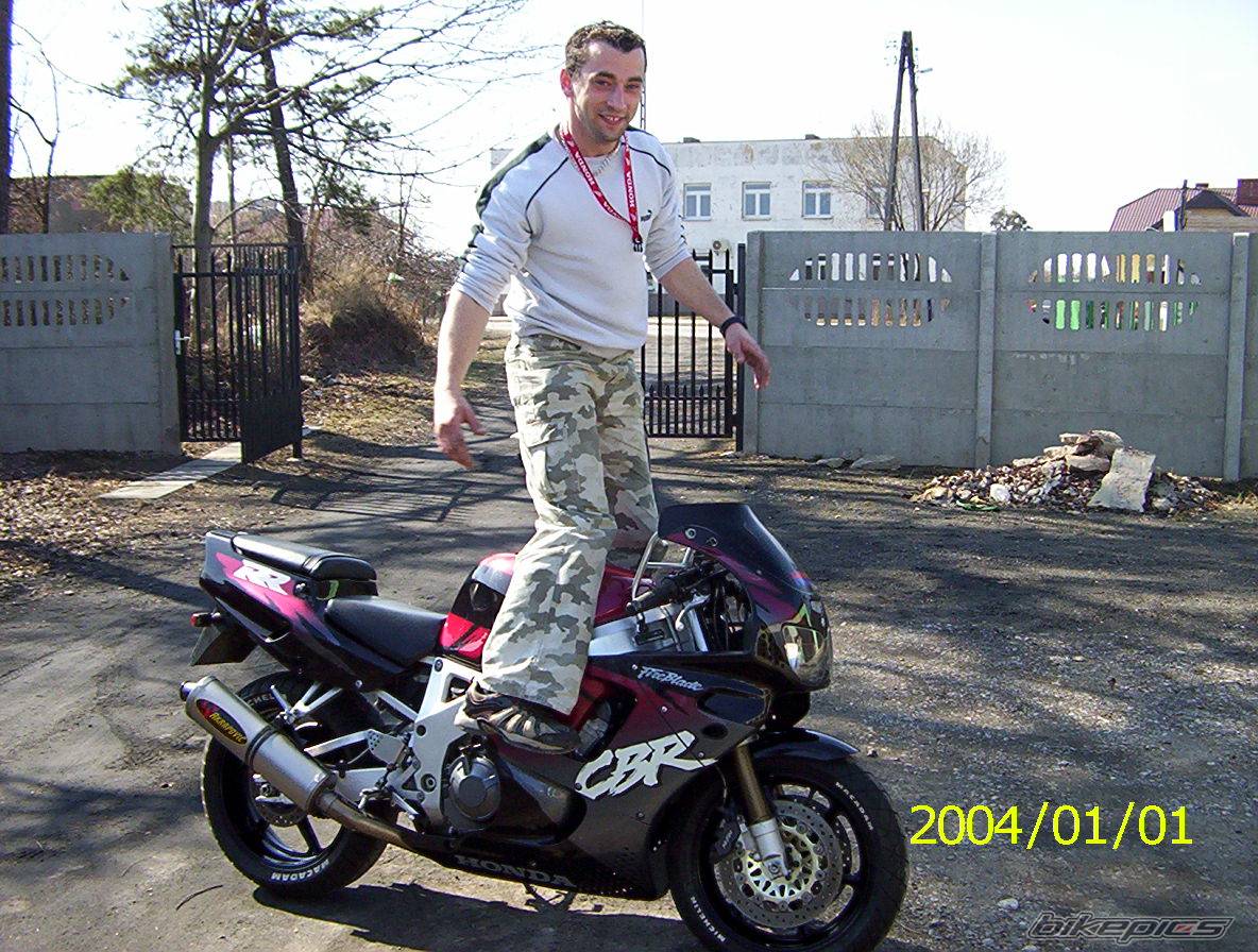 1995 HONDA CBR 900 | Picture 321481 motorcycle photo