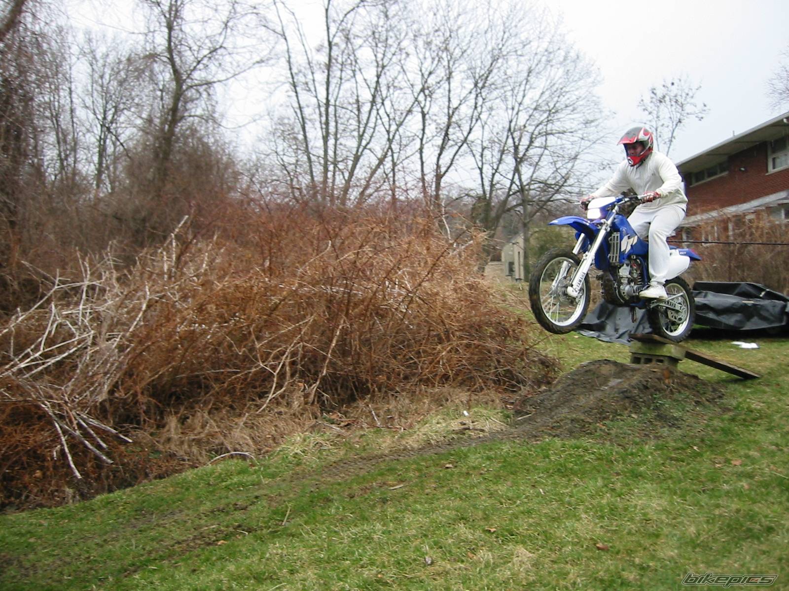 2002 YAMAHA WR 250F | Picture 321695 motorcycle photo