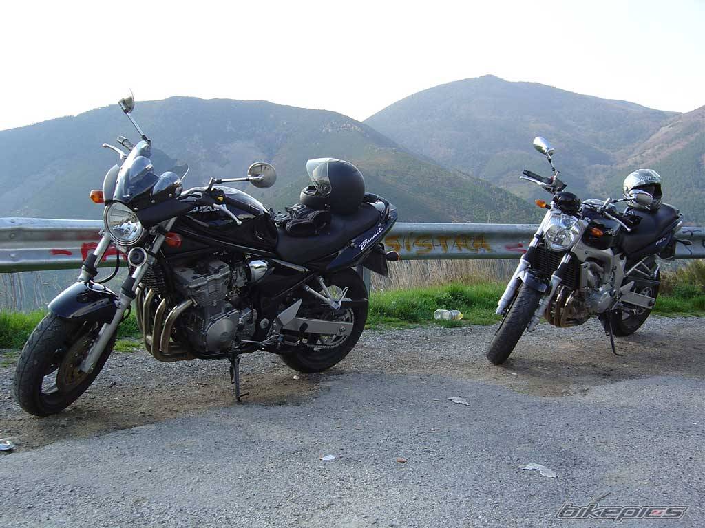 2004 SUZUKI BANDIT 600 | Picture 321731 motorcycle photo