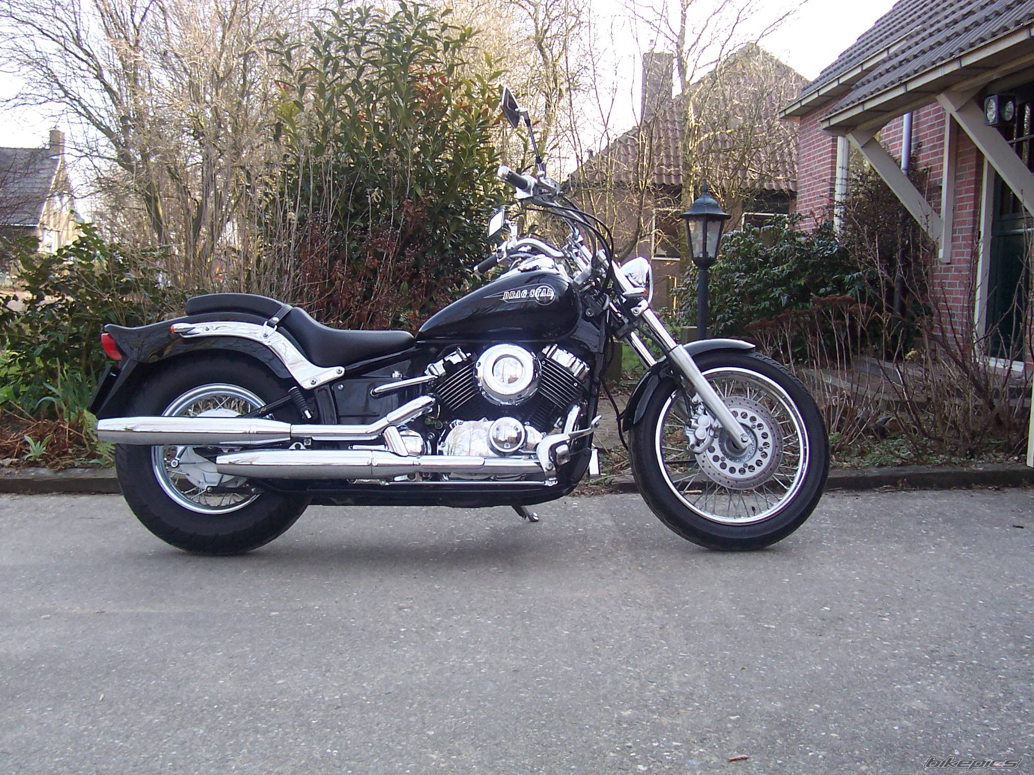 1998 YAMAHA XV DRAGSTAR 650 | Picture 322453 motorcycle photo