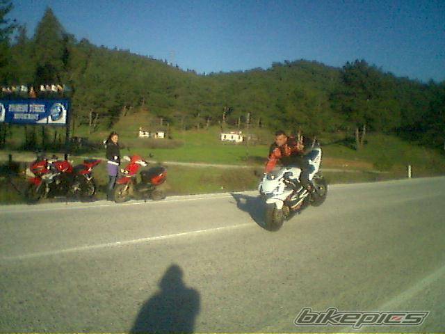 2002 HONDA CBR 900 | Picture 322460 motorcycle photo