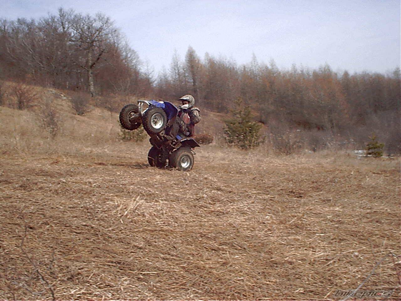2003 YAMAHA BLASTER | Picture 322514 motorcycle photo