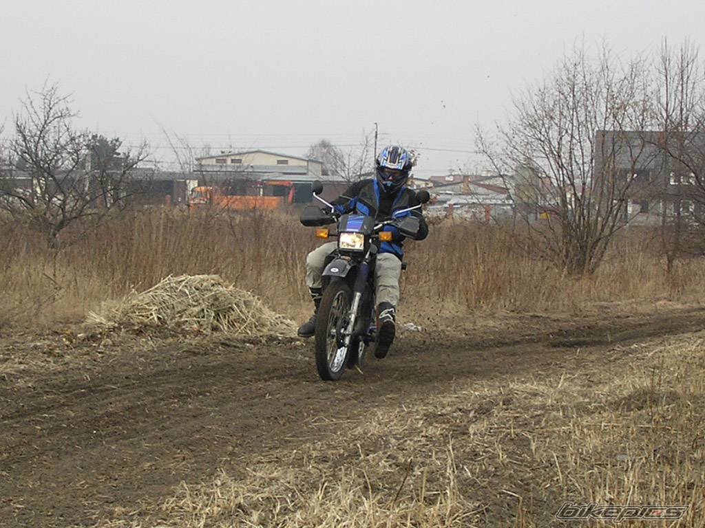 1995 YAMAHA DT 80 | Picture 323099 motorcycle photo