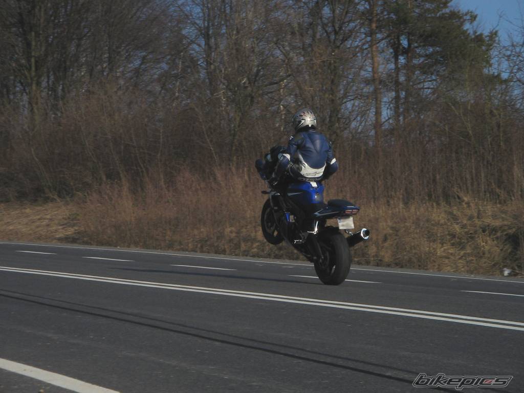 2003 YAMAHA YZF R6 | Picture 323184 motorcycle photo