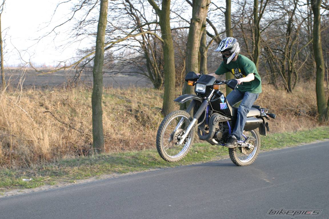 1995 YAMAHA DT 80 | Picture 323491 motorcycle photo