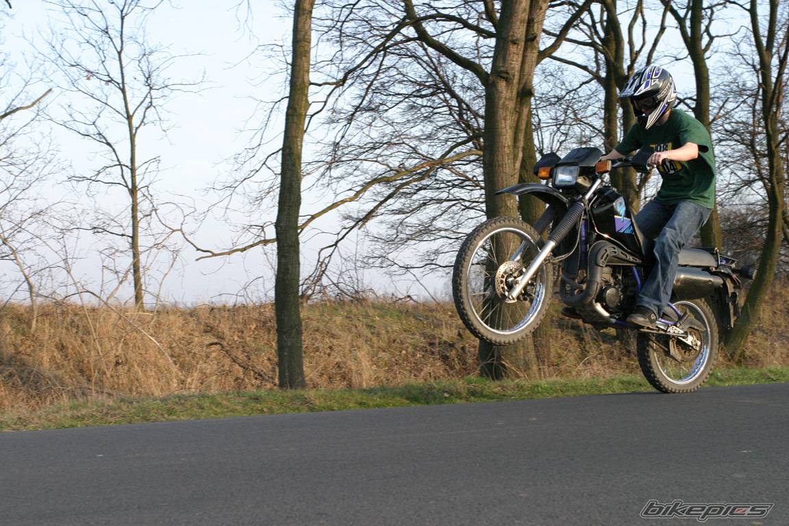 1995 YAMAHA DT 80 | Picture 323497 motorcycle photo