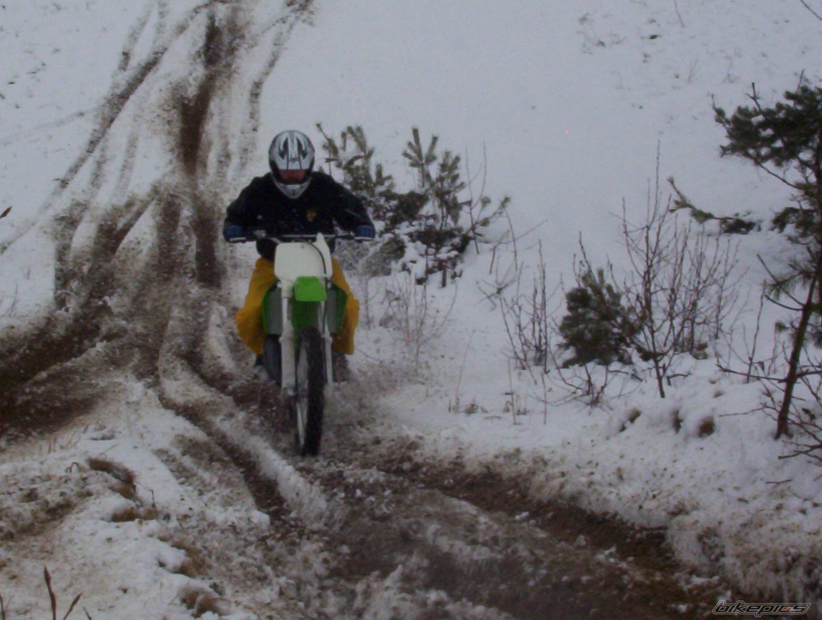 2002 KAWASAKI KX 125 | Picture 323537 motorcycle photo