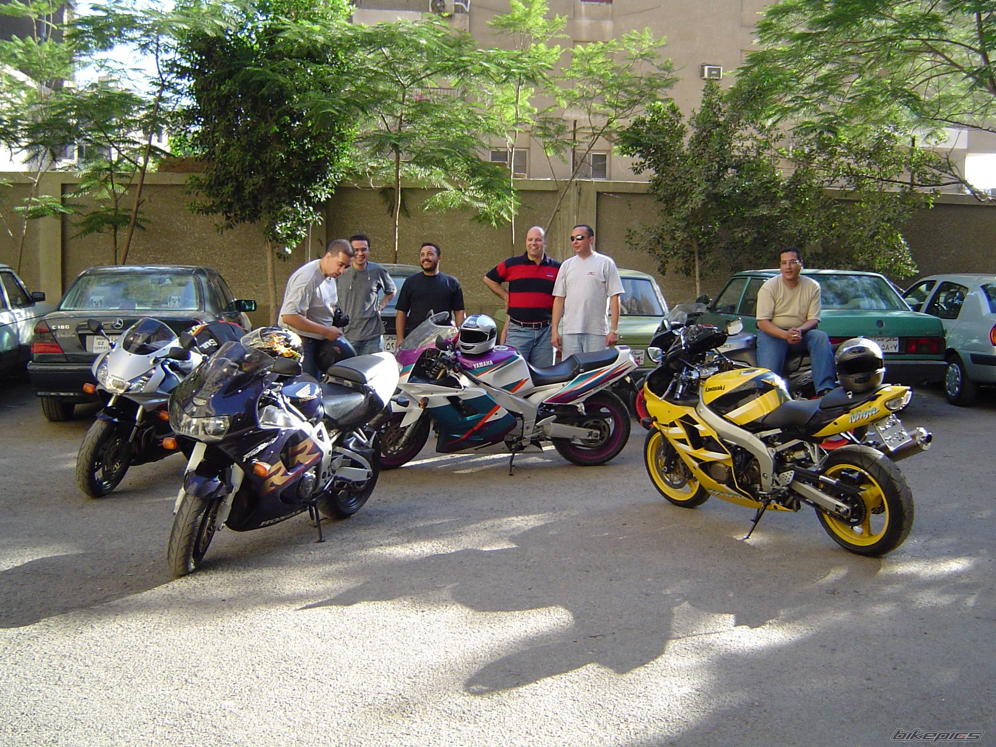 1999 HONDA CBR 900 | Picture 323919 motorcycle photo