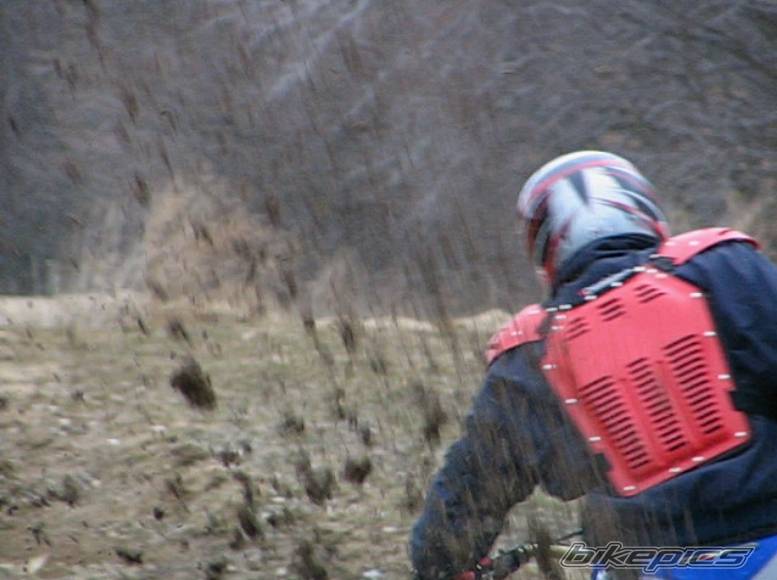 2002 YAMAHA YZ 250 | Picture 324132 motorcycle photo