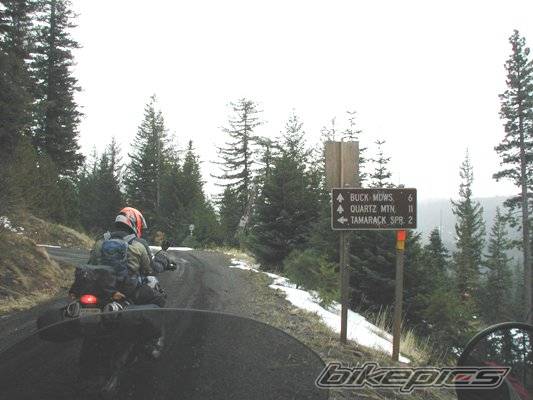 2005 BMW F 650 GS DAKAR | Picture 324623 motorcycle photo