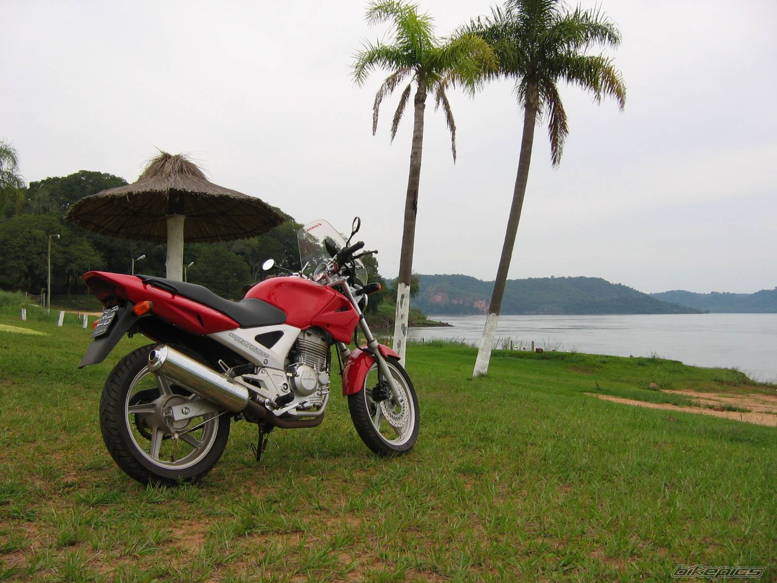 2005 HONDA CBX 250 | Picture 324792 motorcycle photo