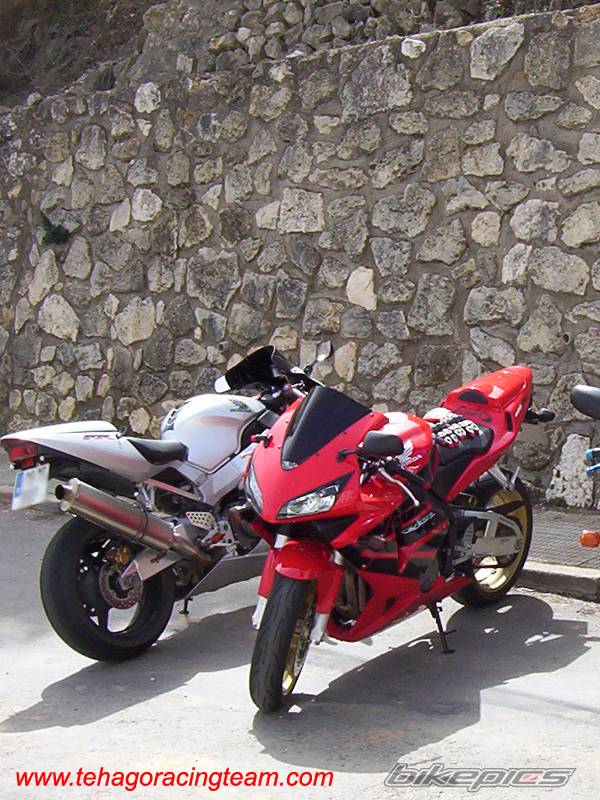 2004 HONDA CBR 600 | Picture 324802 motorcycle photo