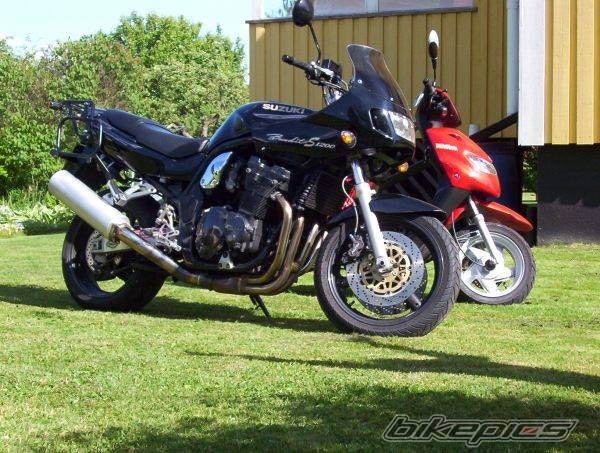 1996 SUZUKI BANDIT 1200 | Picture 325045 motorcycle photo