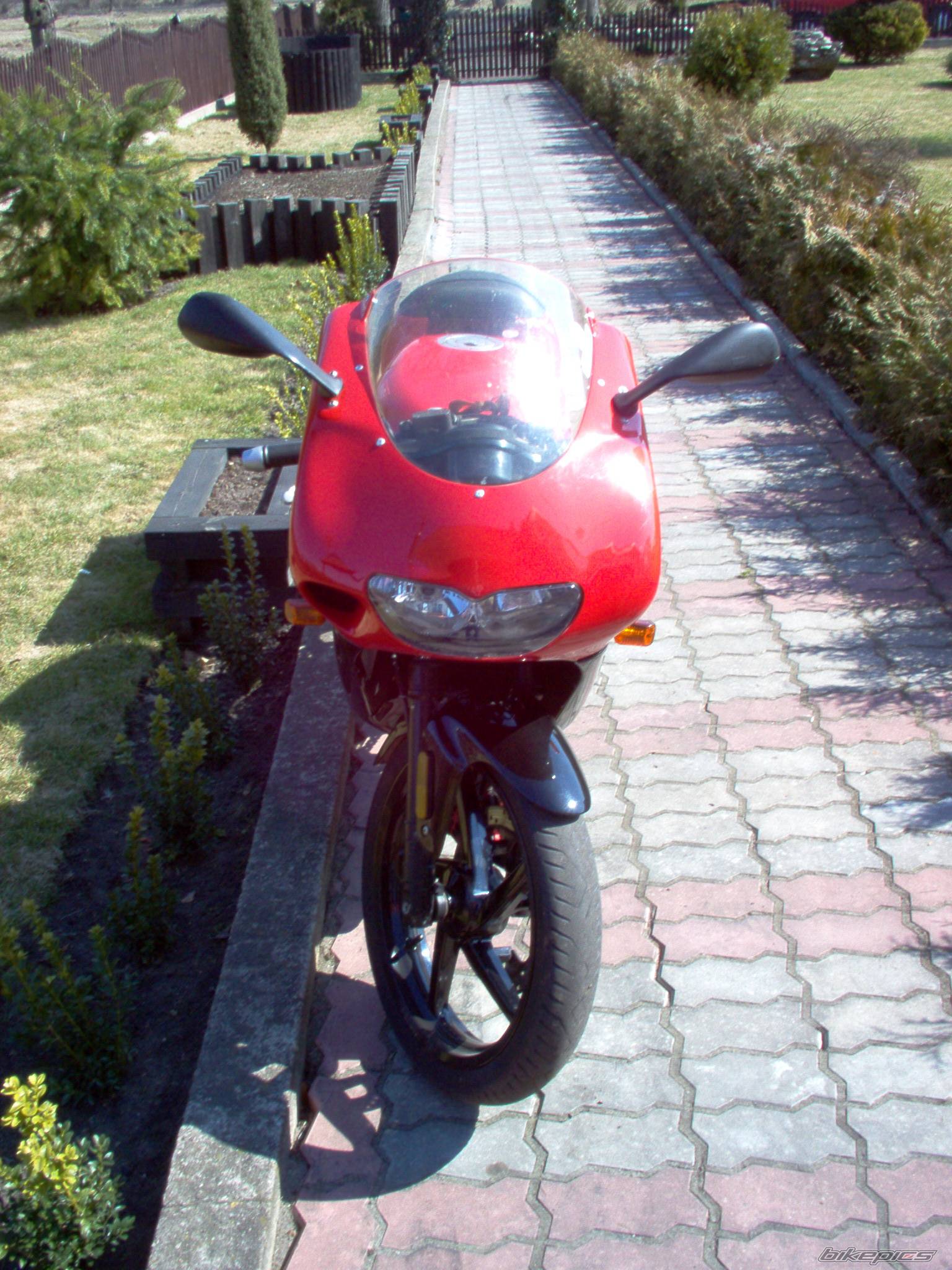 2002 APRILIA RS 50 | Picture 325088 motorcycle photo