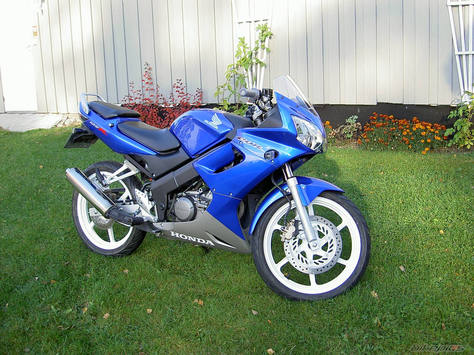 2005 HONDA CBR 125 | Picture 325171 motorcycle photo