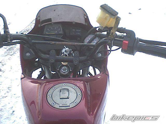 1993 YAMAHA TDR 50 | Picture 325712 motorcycle photo
