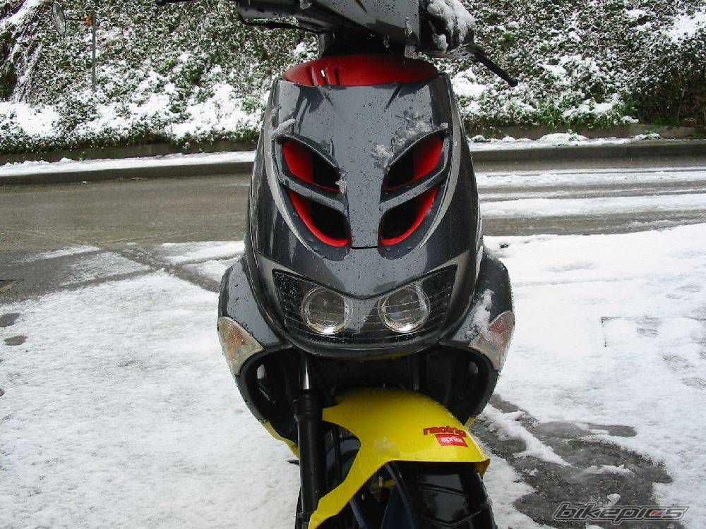 2002 APRILIA SR RACING 50 | Picture 326159 motorcycle photo
