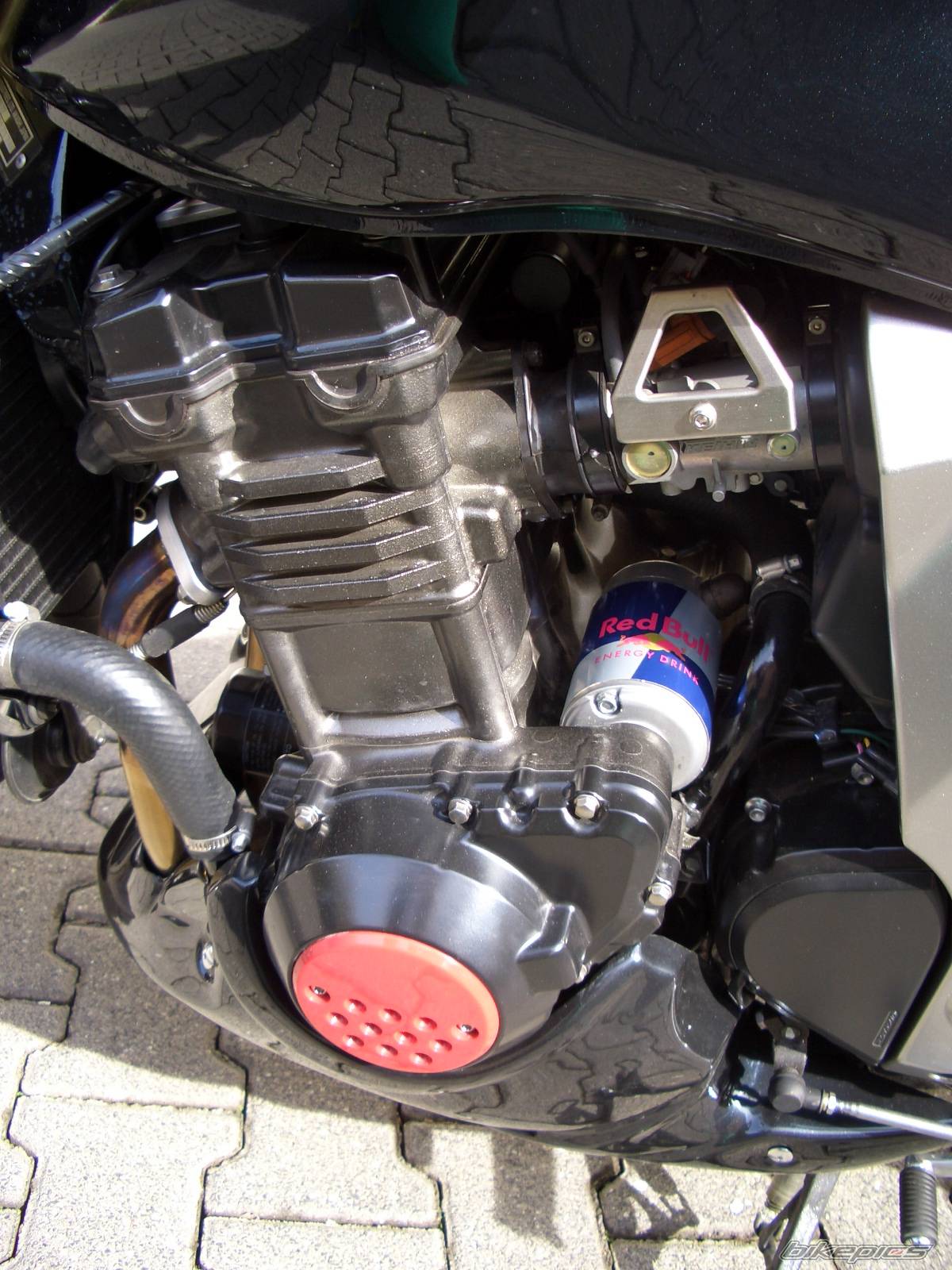 2003 KAWASAKI Z 1000 | Picture 326179 motorcycle photo
