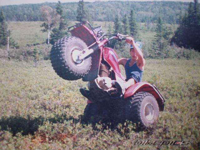 1986 HONDA BIG RED | Picture 326298 motorcycle photo