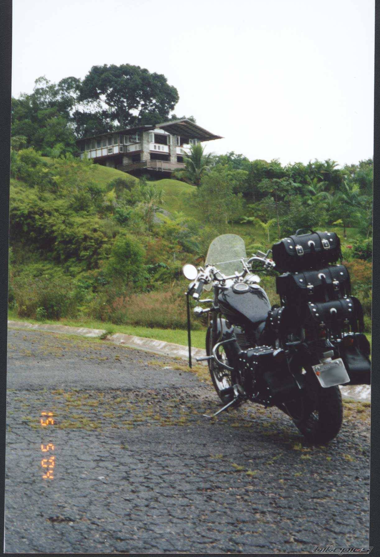 1999 SUZUKI SAVAGE | Picture 326402 motorcycle photo