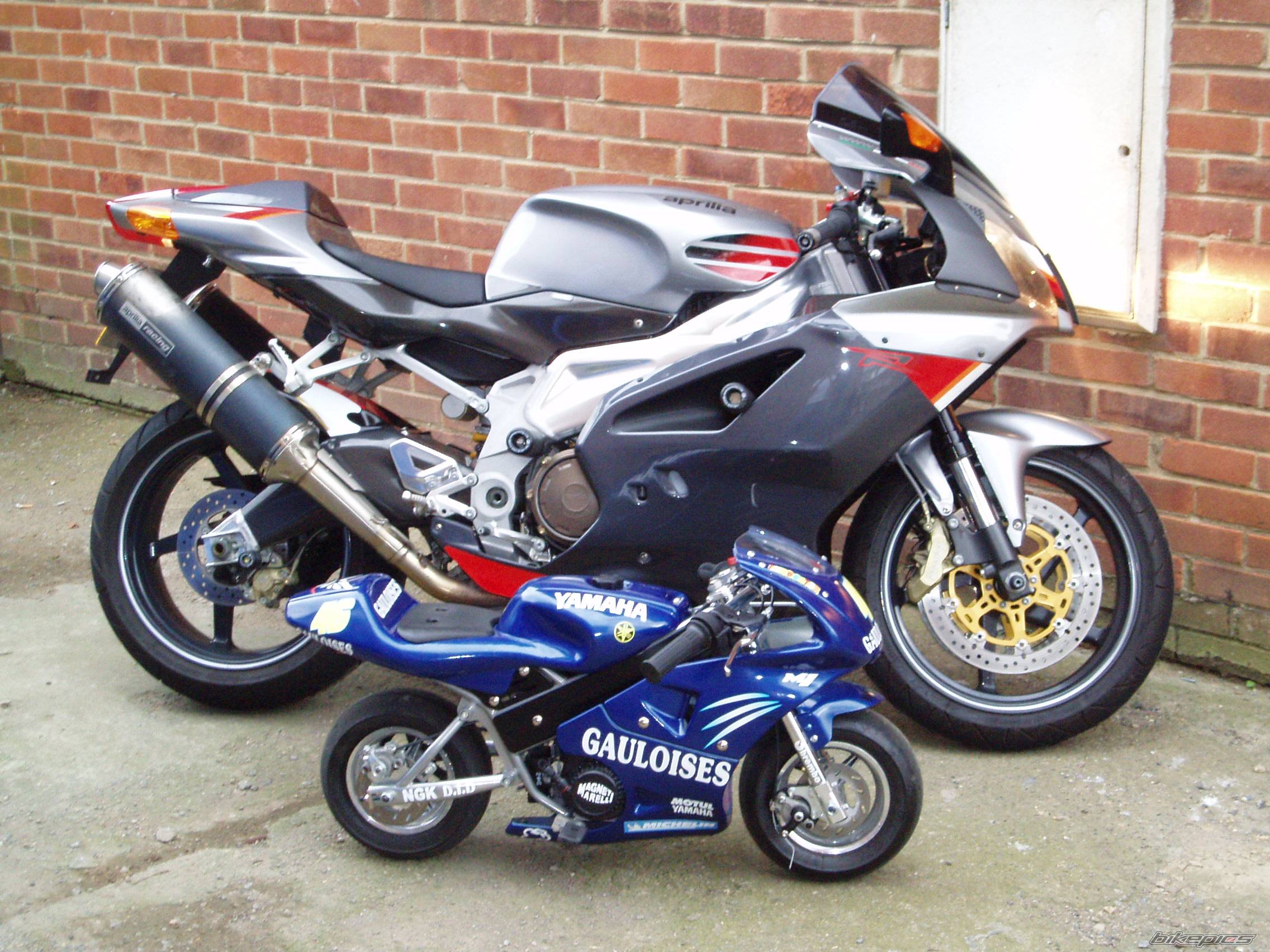 2004 APRILIA RSV 1000R MILLE | Picture 326621 motorcycle photo