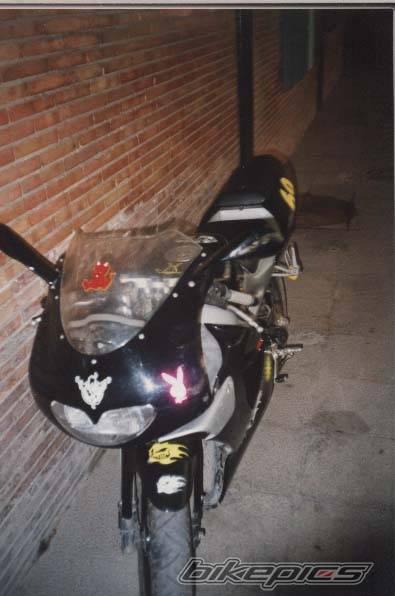 1997 APRILIA RS 50 | Picture 32807 motorcycle photo