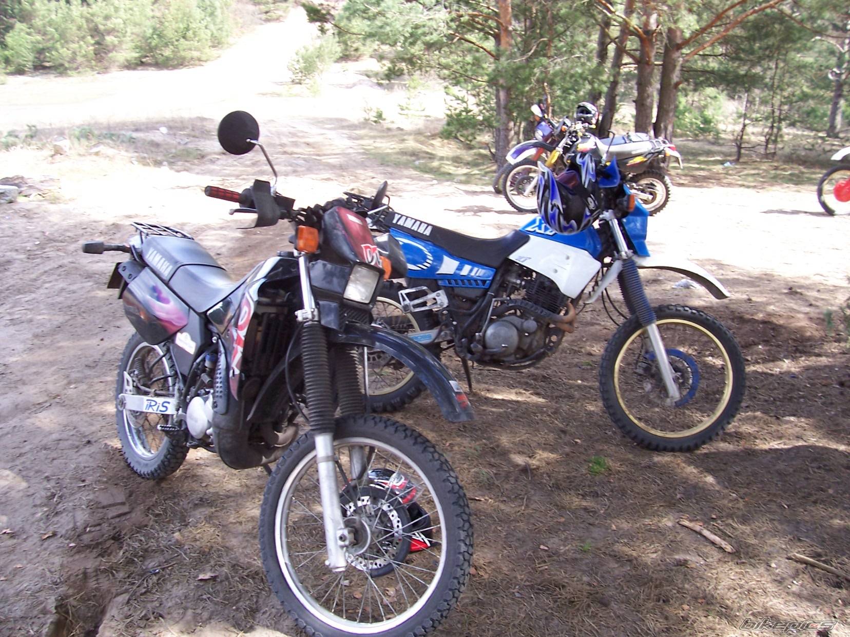 1998 YAMAHA DT 125 | Picture 328244 motorcycle photo