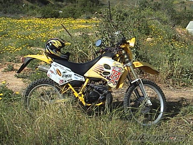 1999 SUZUKI RMX 50 | Picture 328323 motorcycle photo