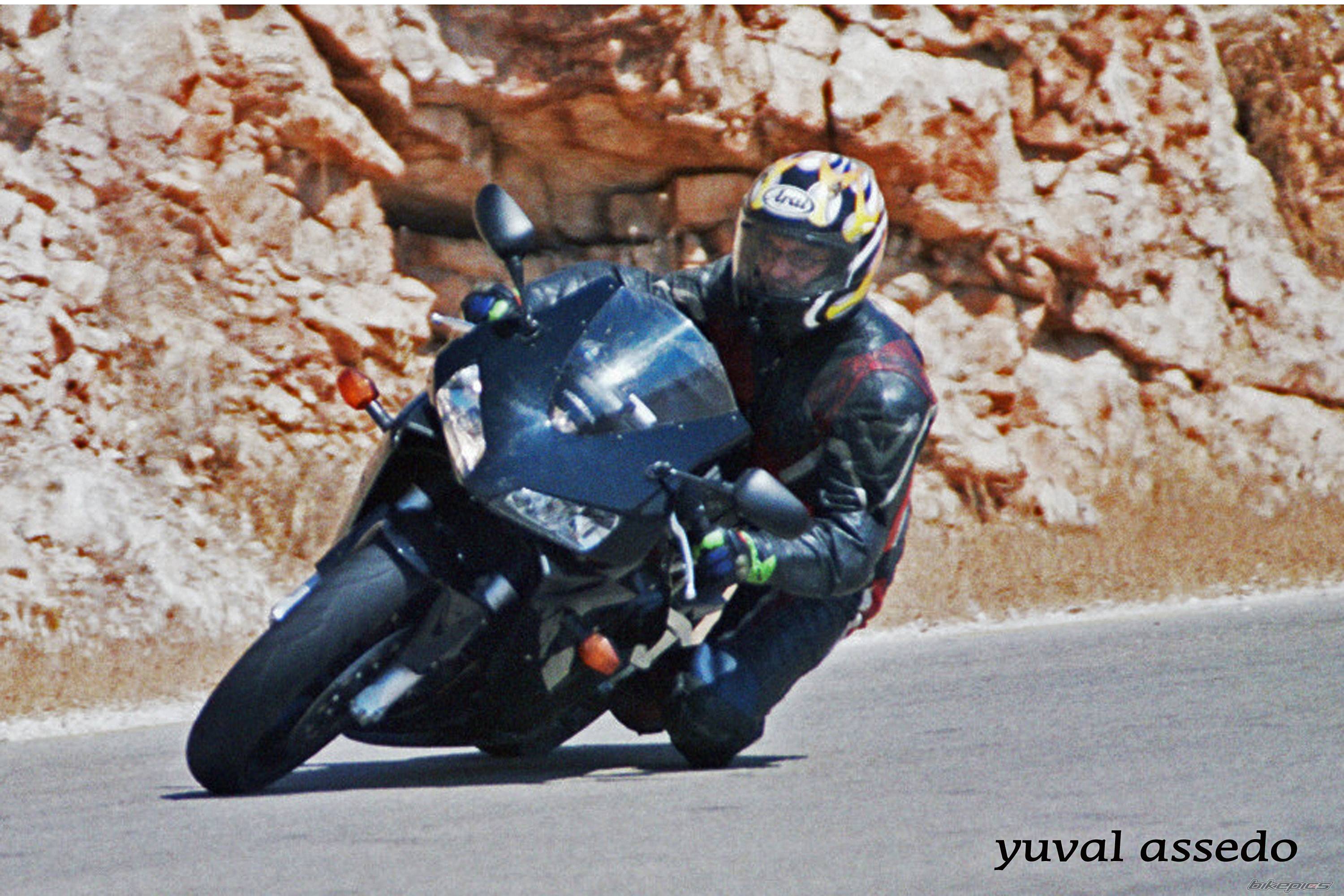 2003 HONDA CBR 600 | Picture 328446 motorcycle photo
