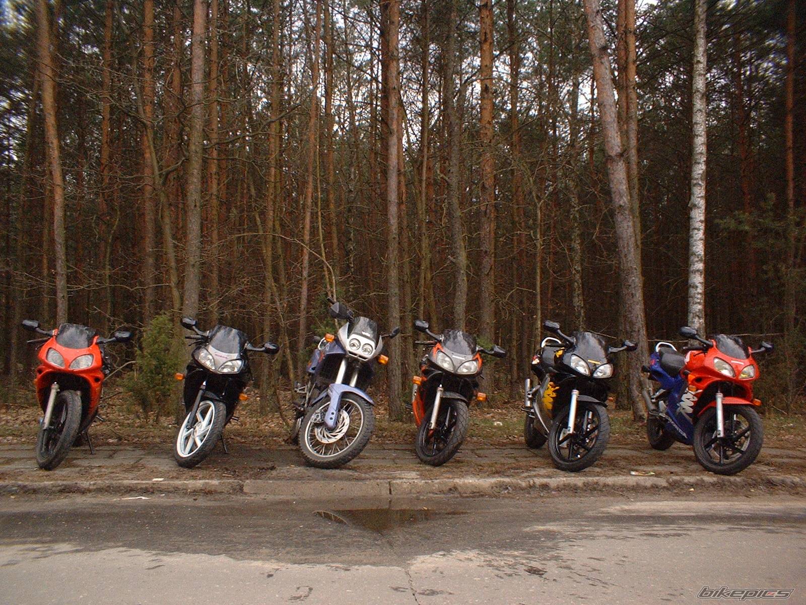 1998 HONDA NSR 125 | Picture 328816 motorcycle photo