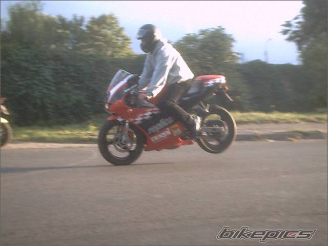 2002 DERBI GPR | Picture 328879 motorcycle photo