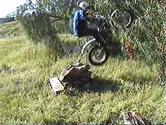 1999 SCORPA EASY 280 | Picture 329201 motorcycle photo