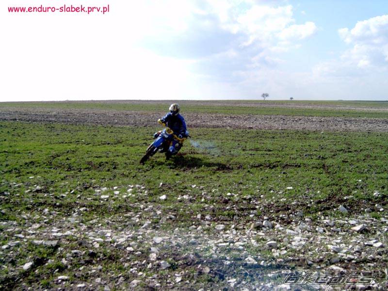 2002 DERBI SENDA R 50 | Picture 329432 motorcycle photo