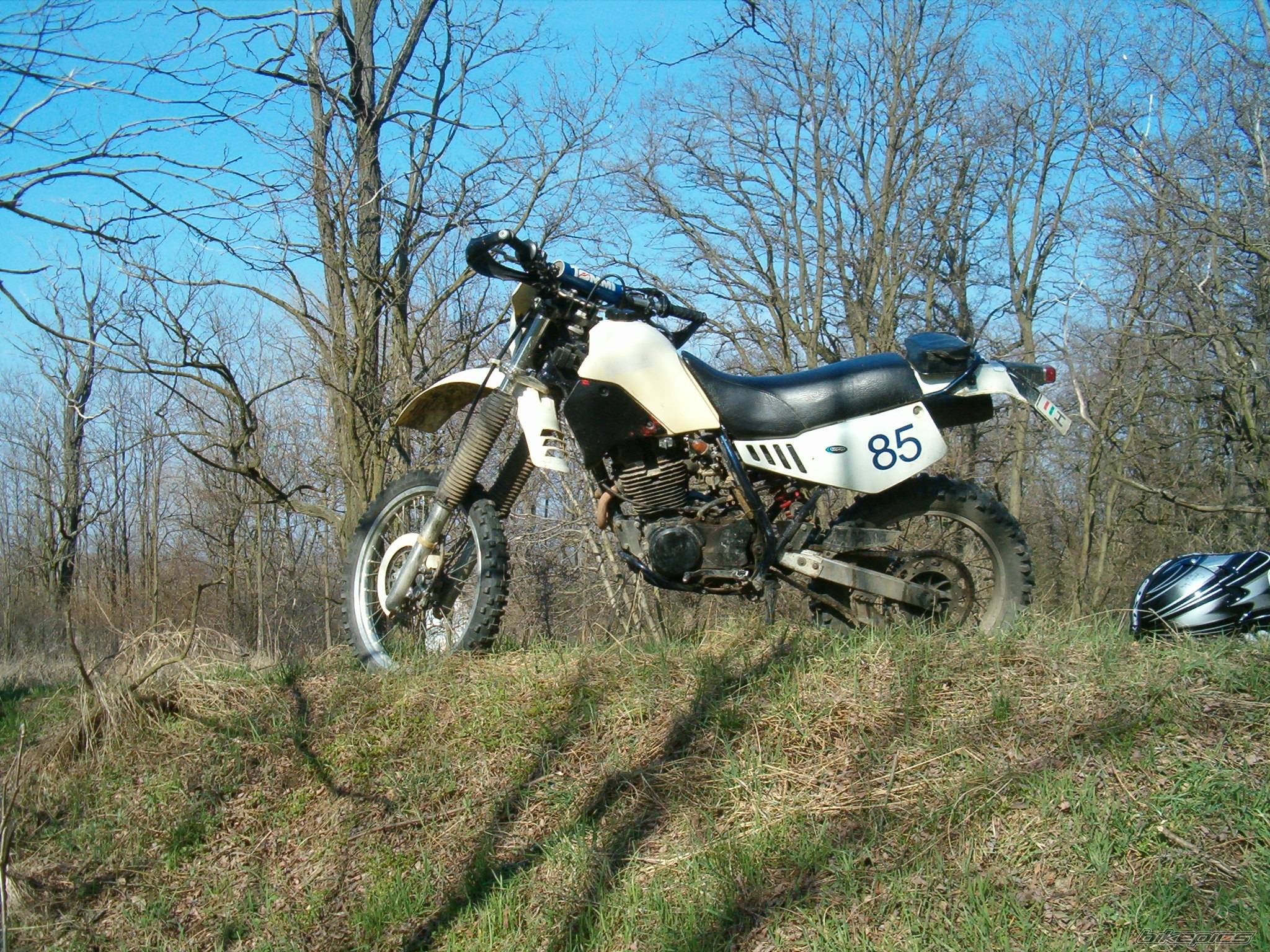 1989 YAMAHA TTR 350 | Picture 329488 motorcycle photo
