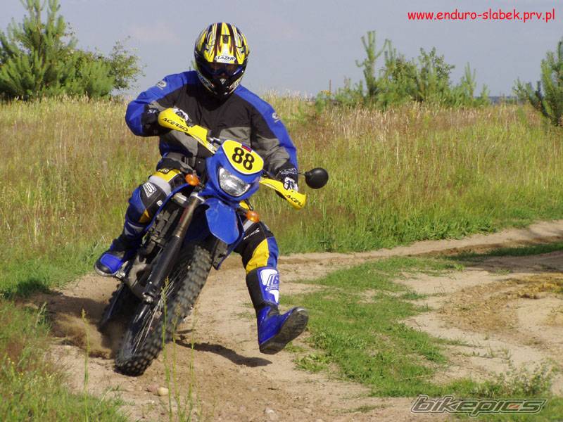 2002 DERBI SENDA R 50 | Picture 329696 motorcycle photo