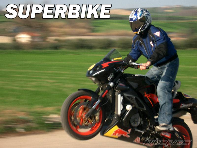 2004 APRILIA RSV MILLE TUONO | Picture 330242 motorcycle photo