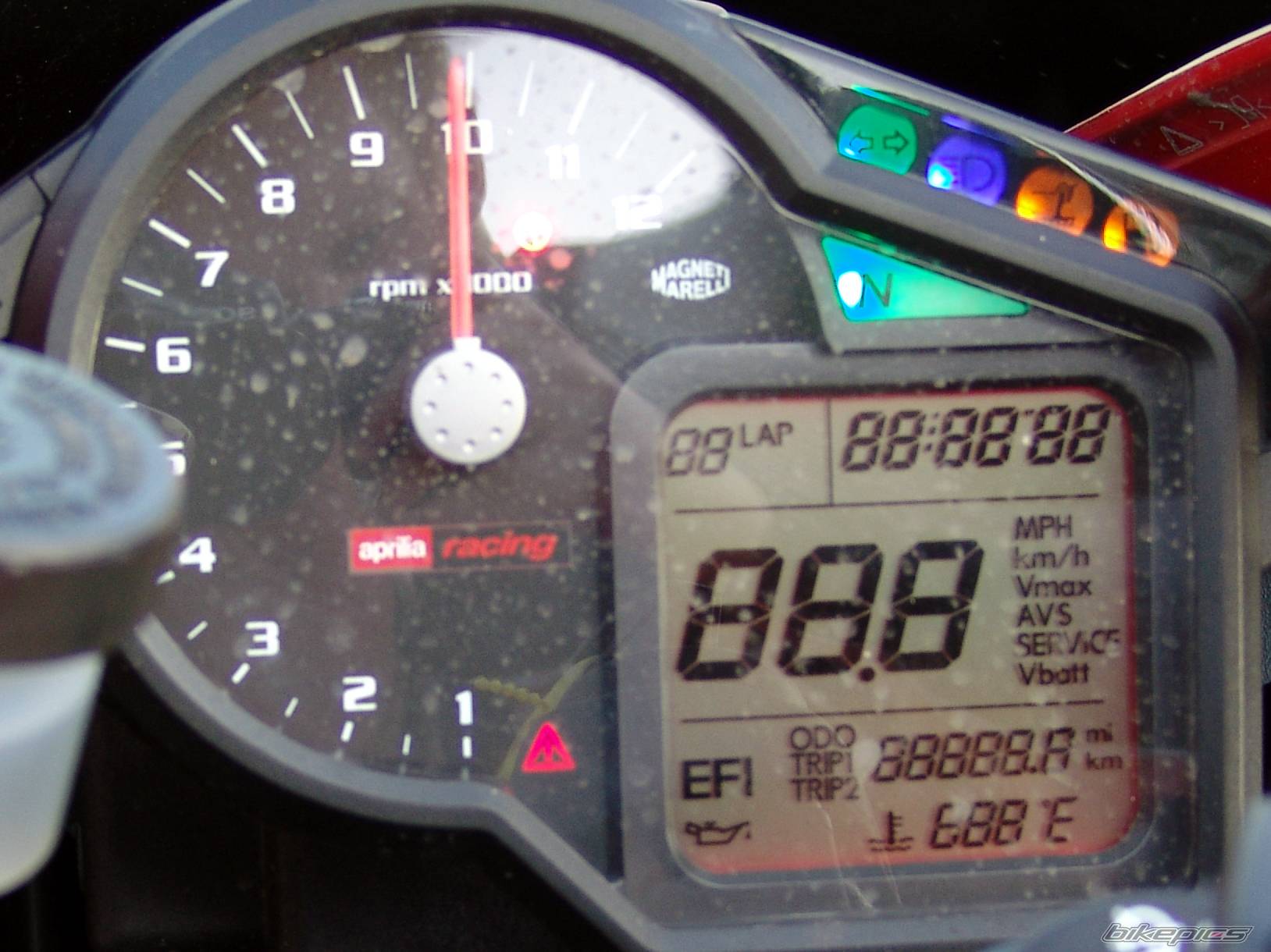 2005 APRILIA RSV 1000R MILLE | Picture 330503 motorcycle photo