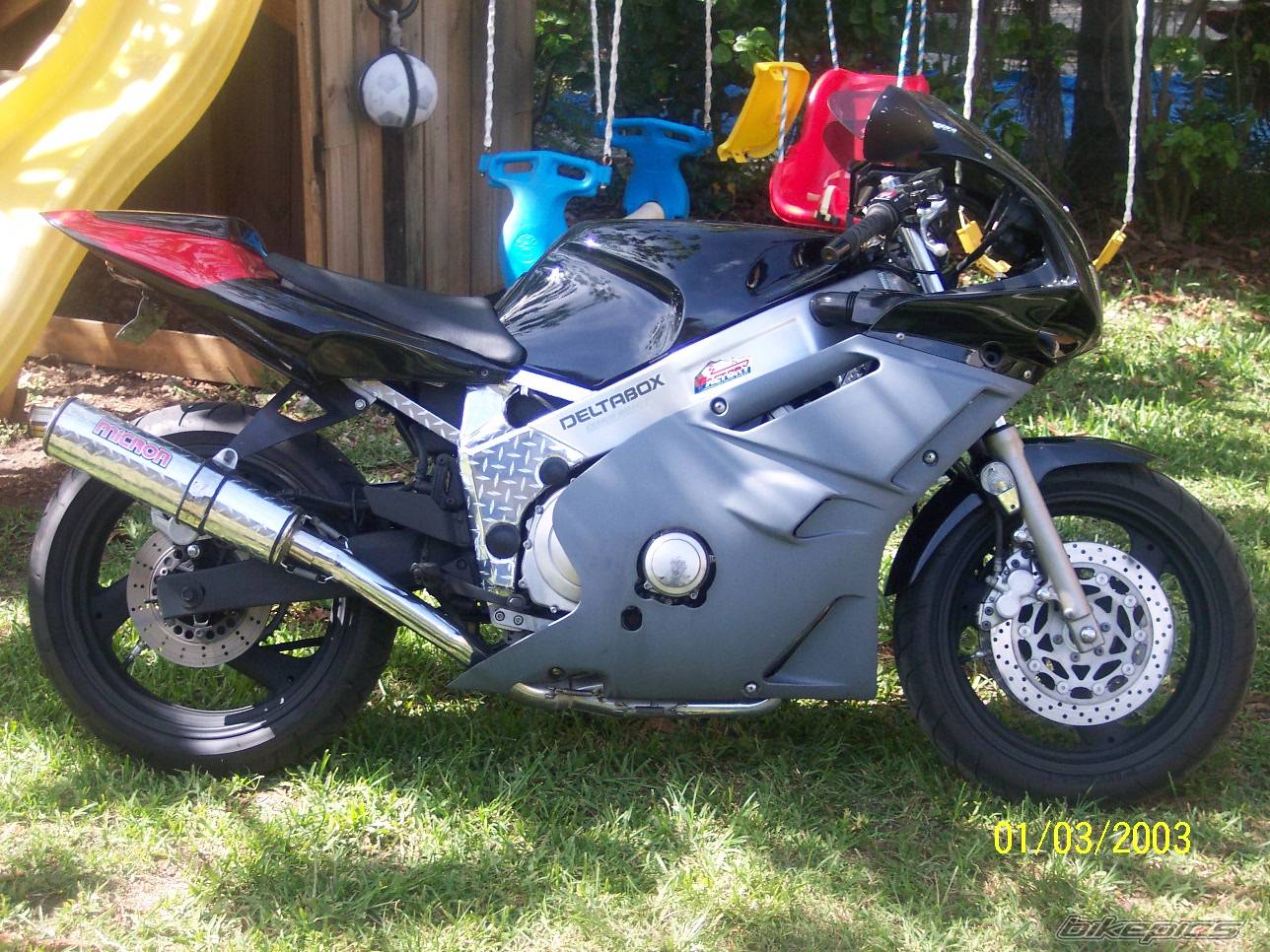 1991 YAMAHA FZR 600 | Picture 330650 motorcycle photo