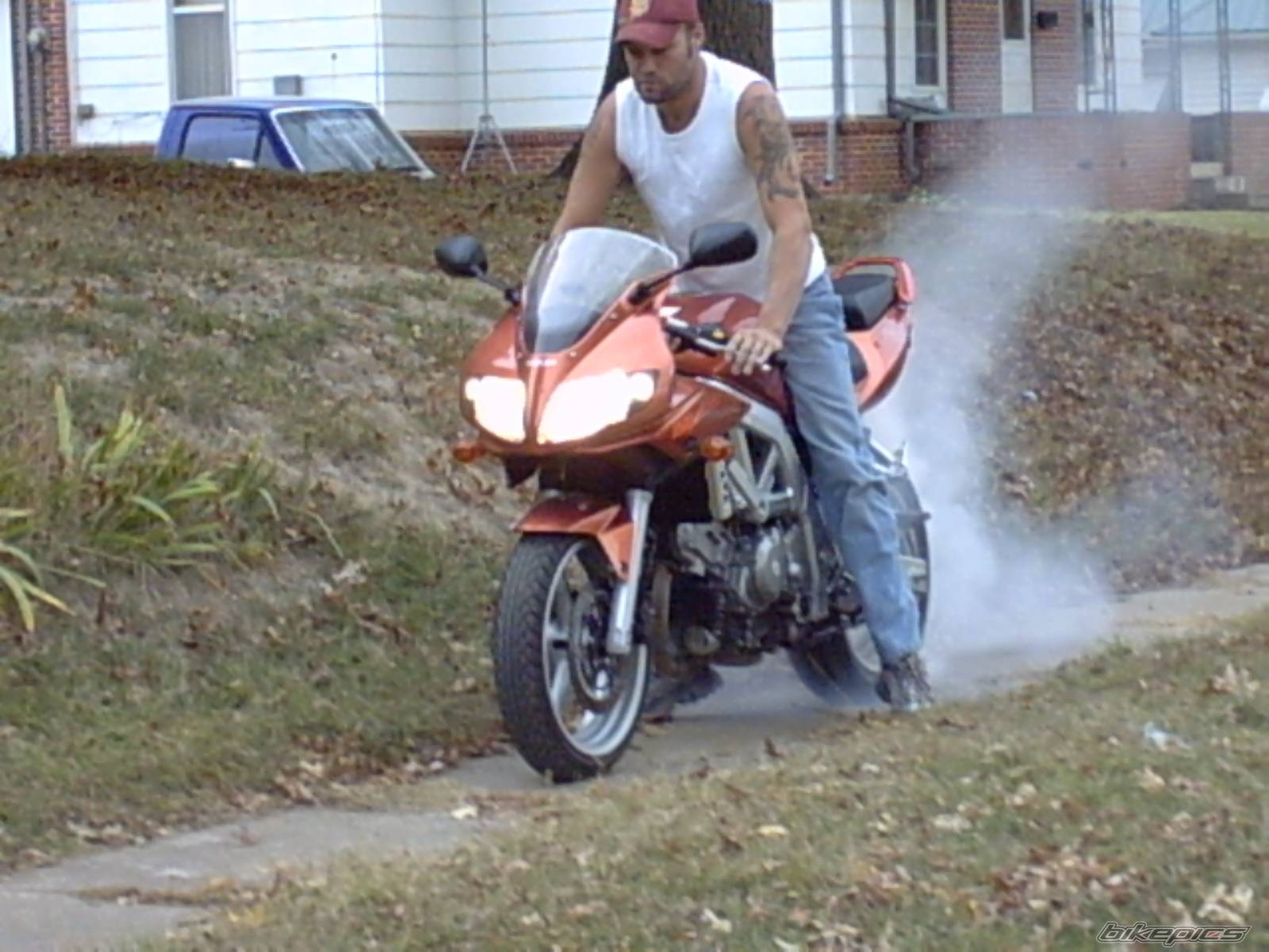 2003 SUZUKI SV 650S | Picture 330708 motorcycle photo