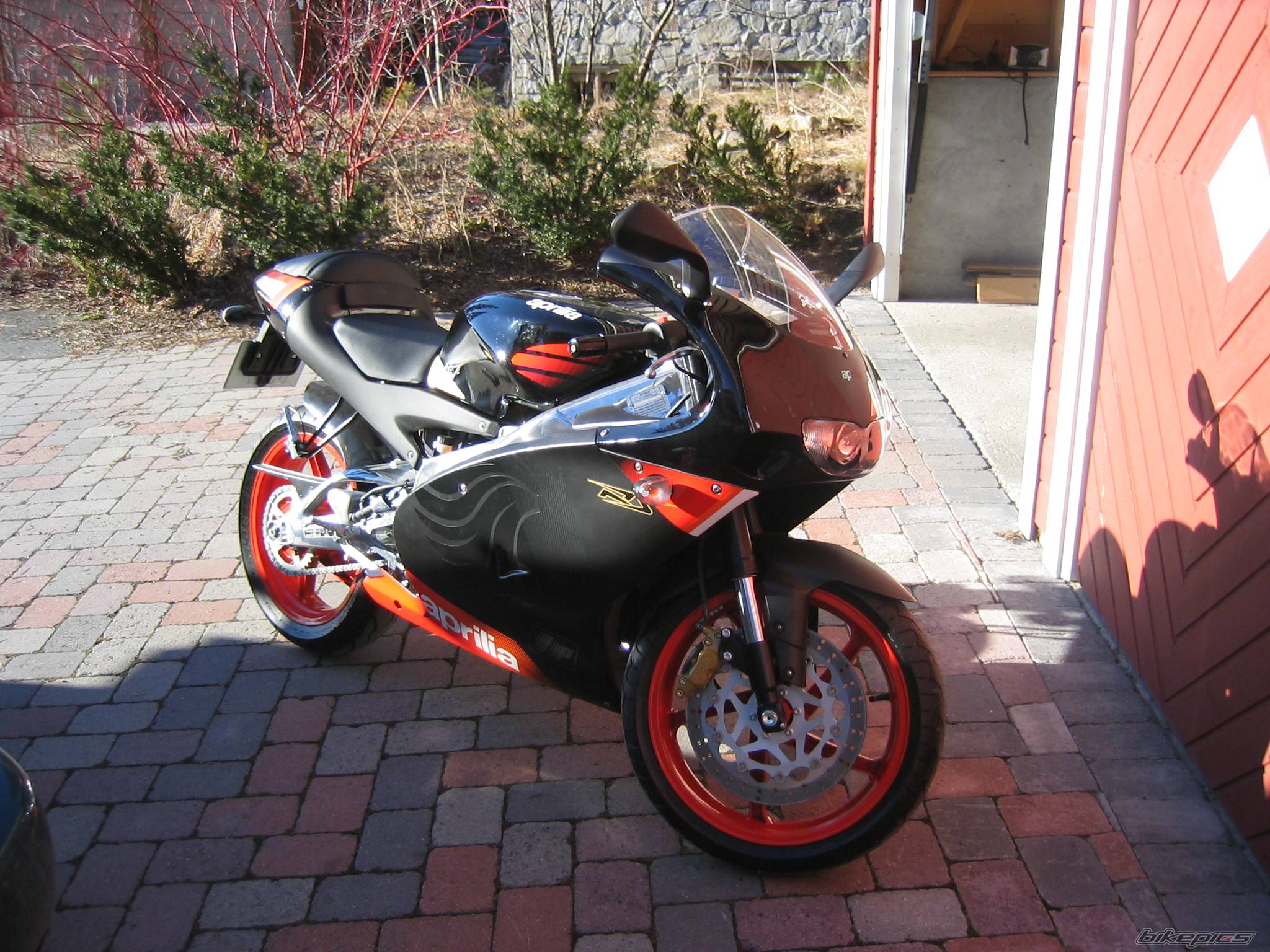 2004 APRILIA RS 125 | Picture 330874 motorcycle photo