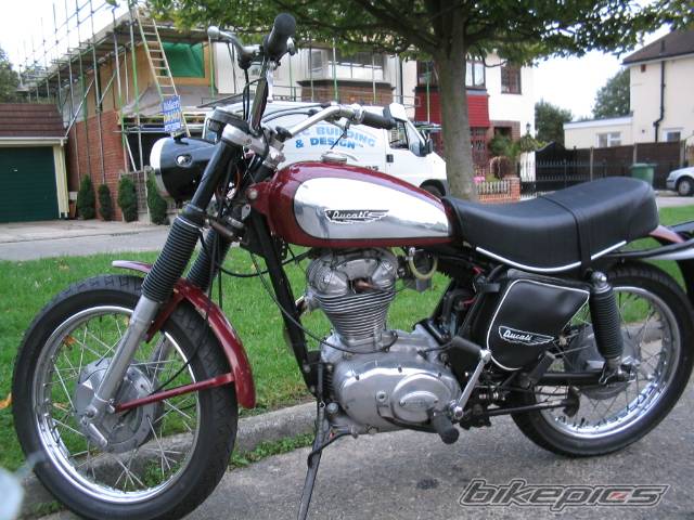 1971 DUCATI SCRAMBLER 350 | Picture 331201 motorcycle photo