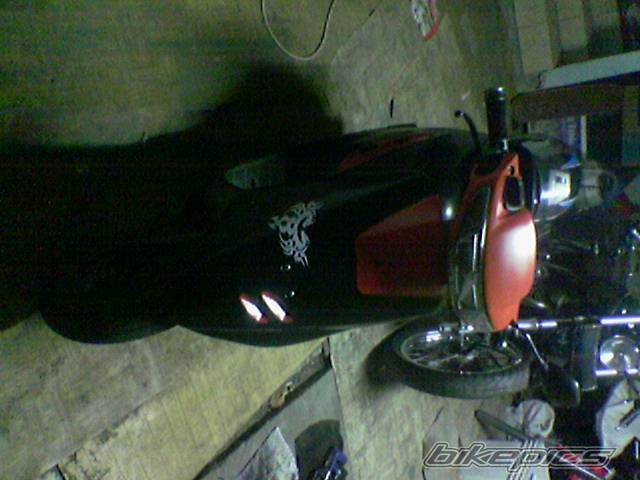 1994 HONDA DIO 50 | Picture 331206 motorcycle photo