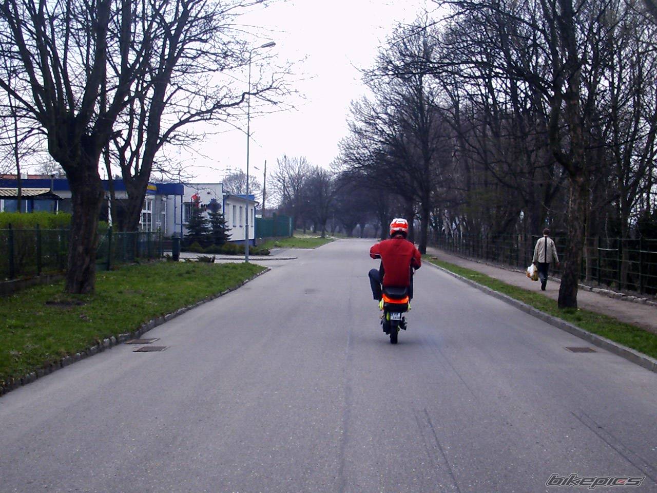 2000 PIAGGIO ZIP SP | Picture 331226 motorcycle photo