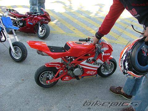 2004 DUCATI UNKNOWEN | Picture 331364 motorcycle photo