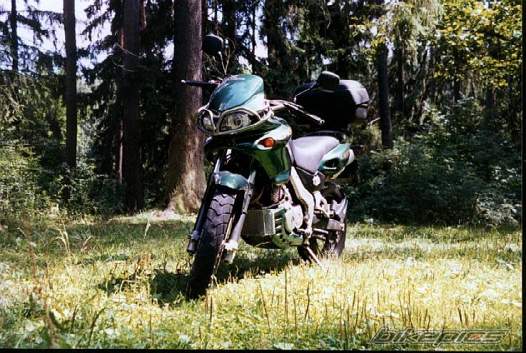 1998 CAGIVA CANYON 500 | Picture 331574 motorcycle photo