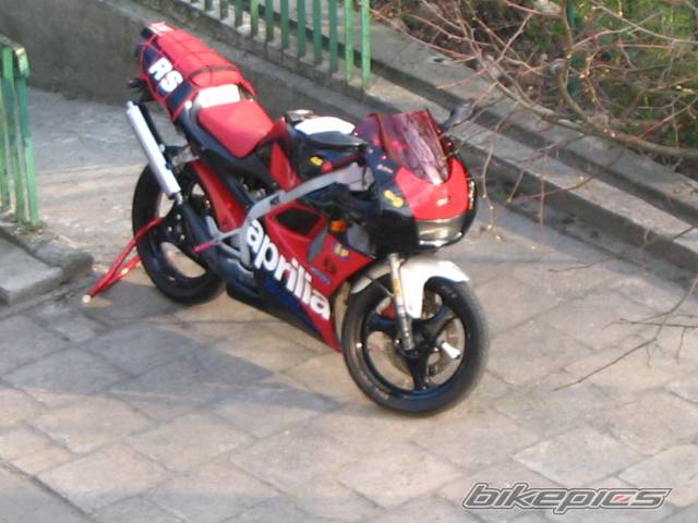 1993 APRILIA RS 50 | Picture 331729 motorcycle photo