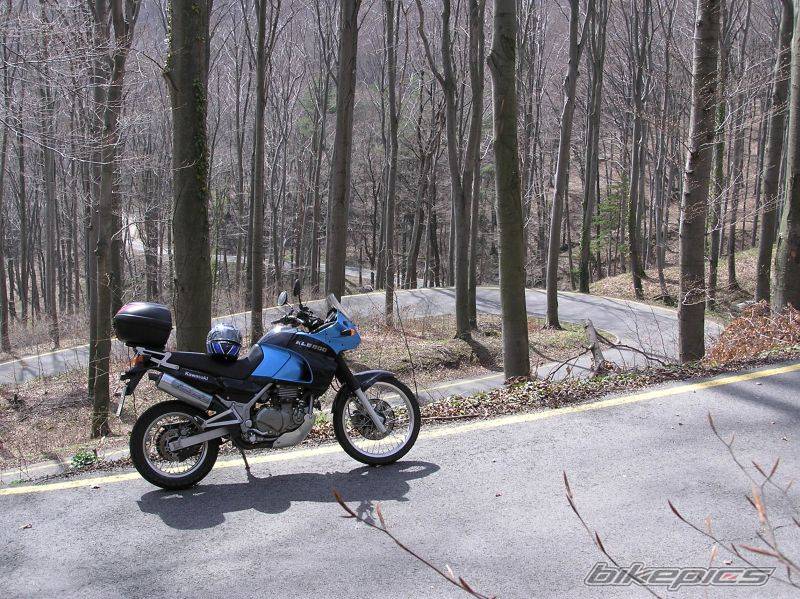 2003 KAWASAKI KLE 500 | Picture 332035 motorcycle photo