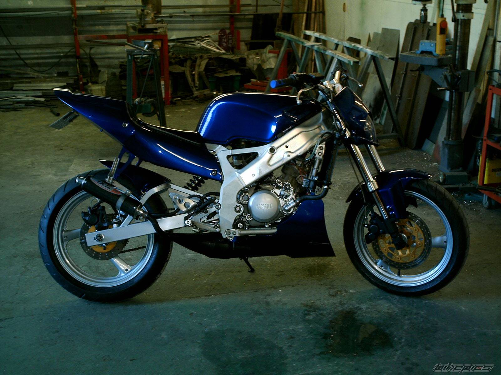 2005 YAMAHA TZR 125 | Picture 332203 motorcycle photo